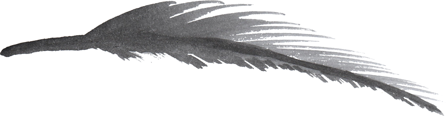 Free Download - Watercolor Feather Png (1443x376), Png Download