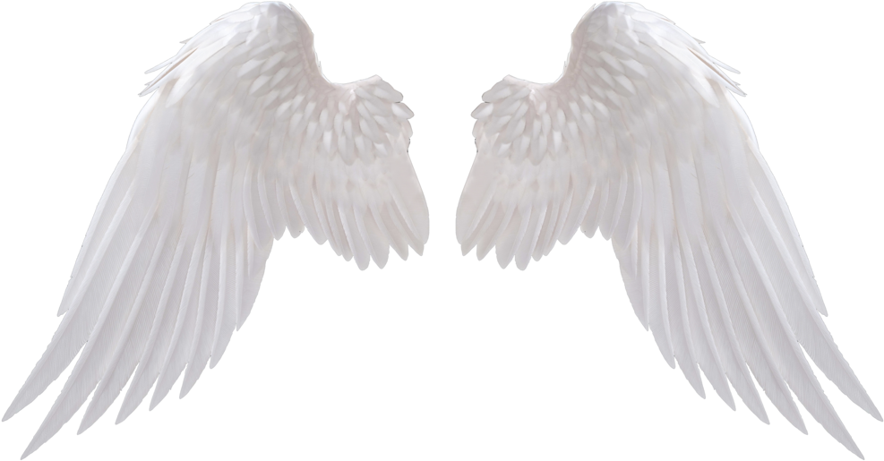 Angel Wings Png Download Image - Angel Wings Png (1024x563), Png Download