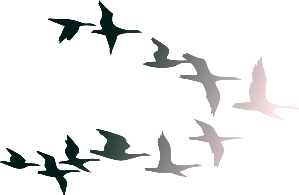 Clipart Images Of Birds Flying In Flight Clip Art At - Birds Flying Away Png (600x392), Png Download