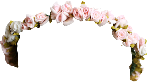 Download Hd Flower Crown Tumblr Flower Crown Png Transparent Png Image Nicepng Com
