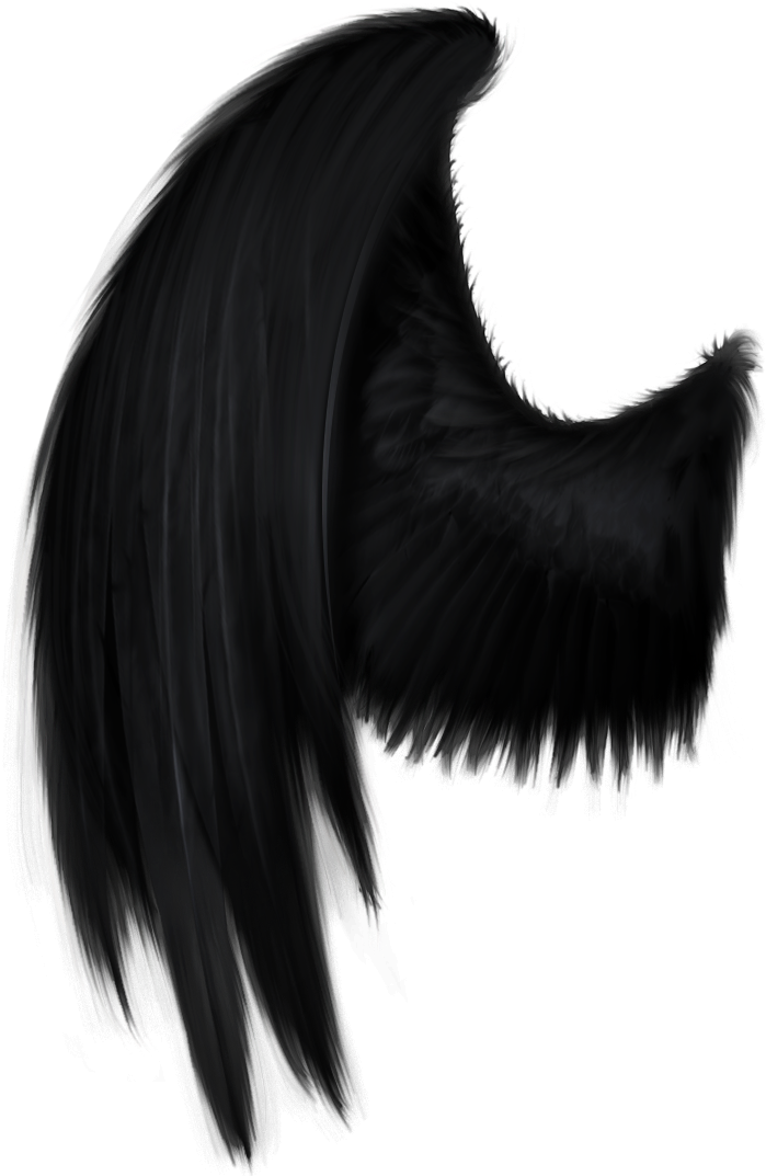 Real Angel Wings - Black Angel Wings Png (900x1077), Png Download