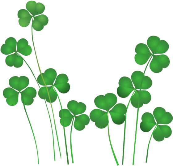 Shamrock Saint Patricks Day Clipart Love You Sweetheart - St Patrick Day Salon Promotions (600x561), Png Download