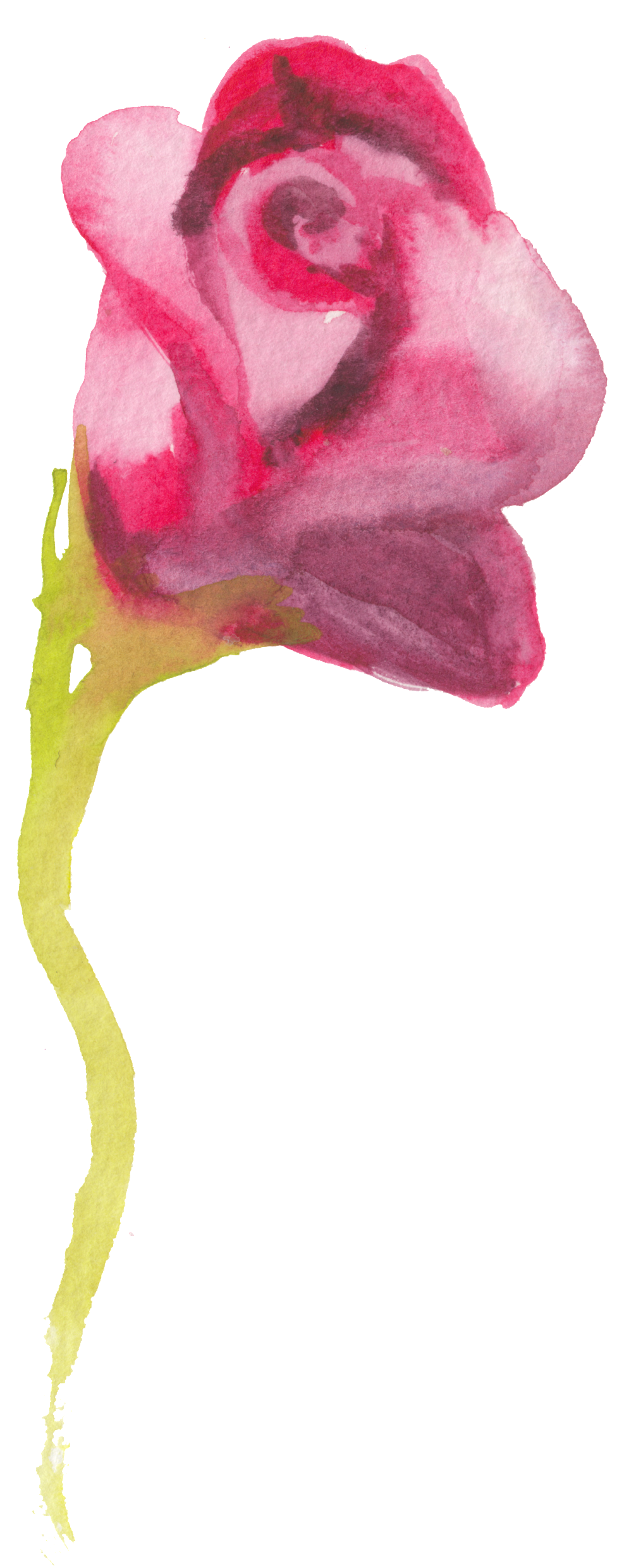 This Graphics Is Ink Red Rose Transparent Decorative - Watercolor Painting (1024x2543), Png Download