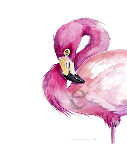 Watercolor Painting Flamingo Drawing - Watercolor Flamingo Drawing Png (510x510), Png Download