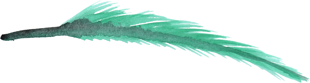 Watercolor Feathers Png Clip Download - Blue Watercolor Feather Png (1024x276), Png Download