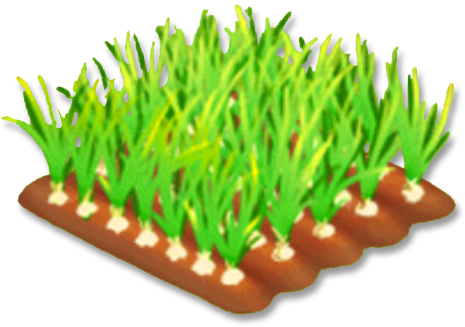 Onion Stage 3 - Onion (660x660), Png Download