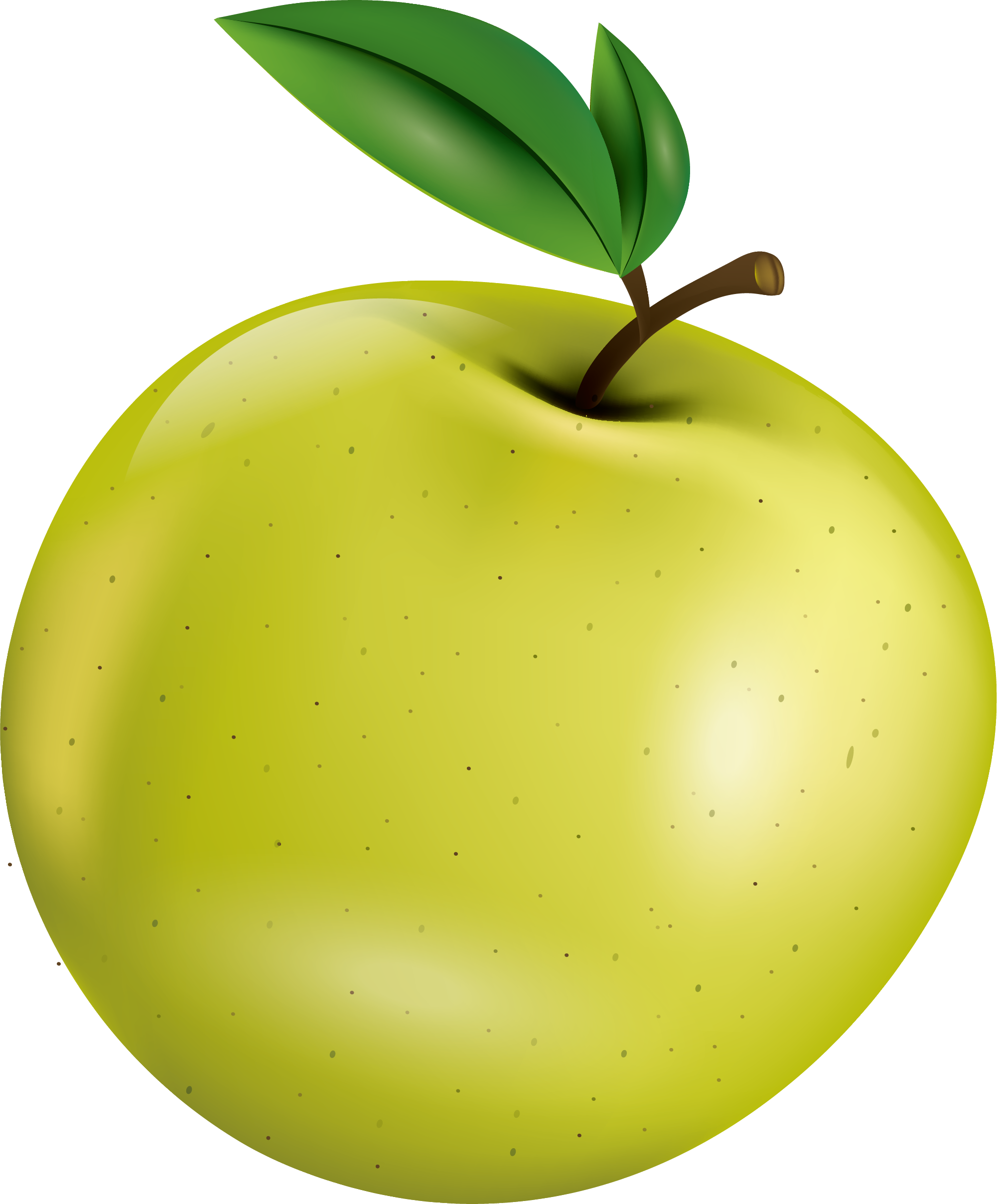 Free Library Apple Painting Fruit Hand Painted Green (2001x2416), Png Download