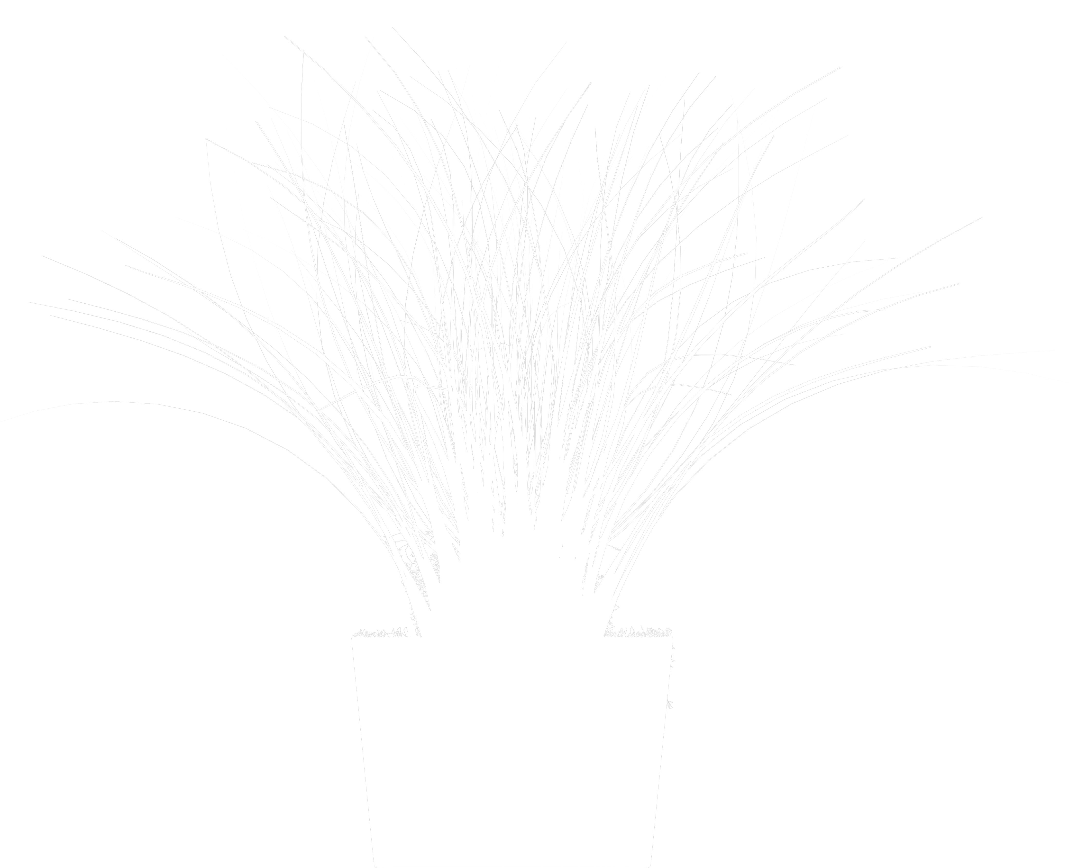 Bush Pot Plant White Clipart Png - Fireworks (5000x3750), Png Download