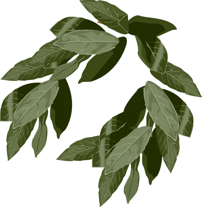 Ivy Crown - Illustration (463x480), Png Download