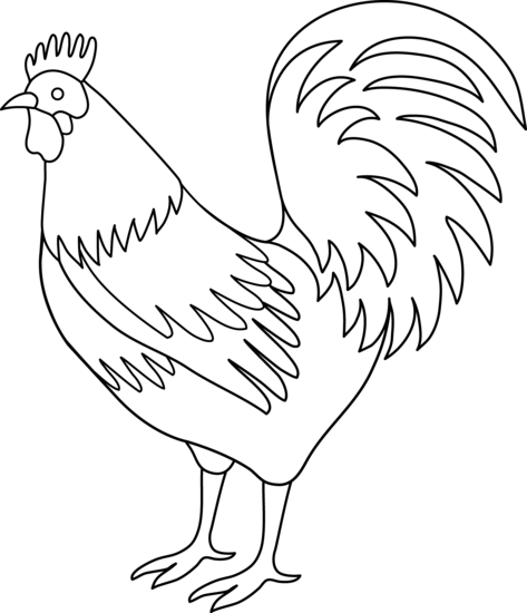 Cockeral For France - Rooster Black And White Clipart (473x550), Png Download