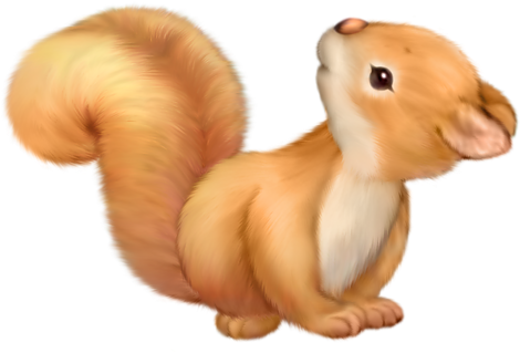Squirrel Free Clip Art Pinterest - Cute Squirrel Png (600x360), Png Download