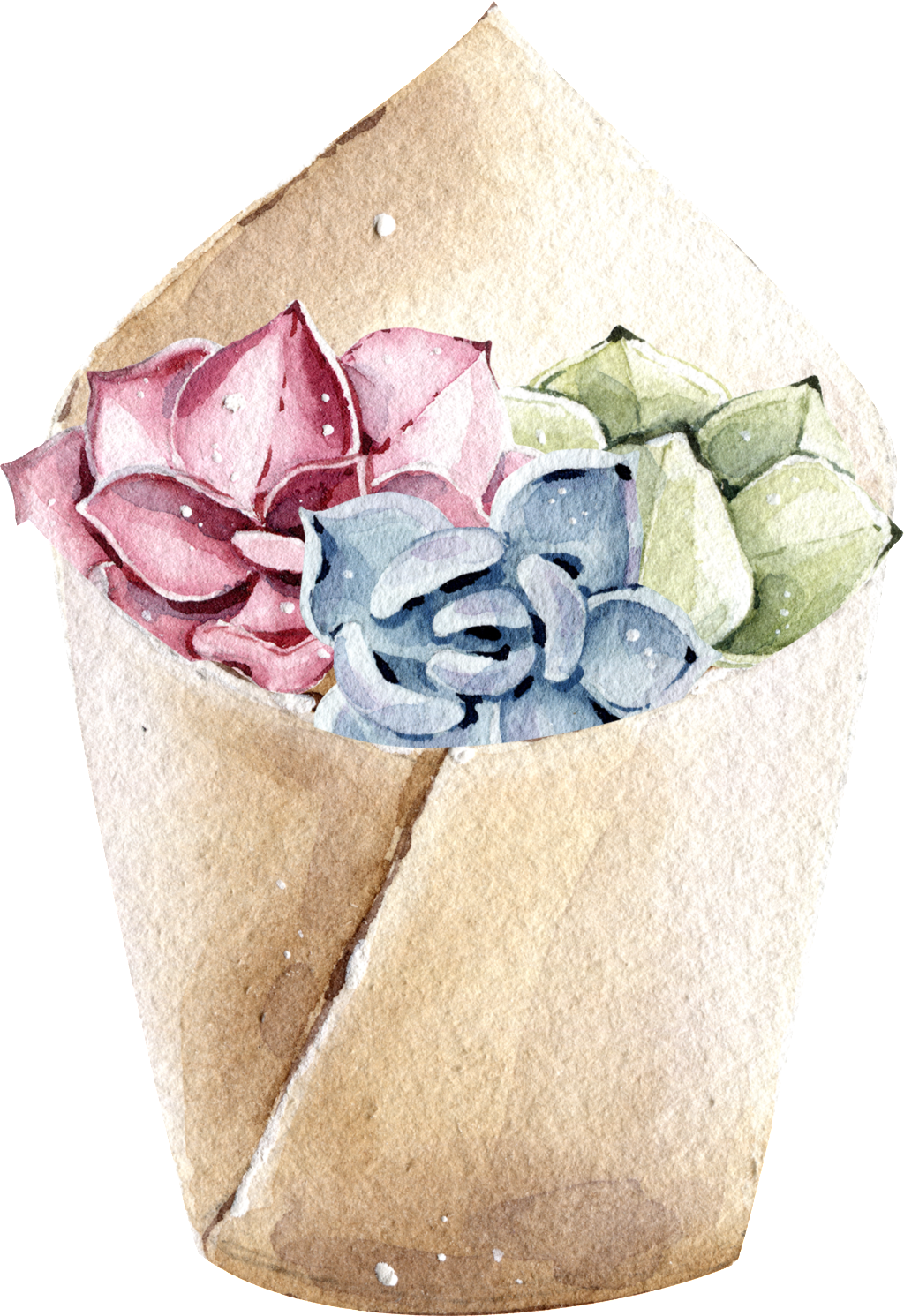 Red And Blue Succulents Watercolor Hand Painted Transparent - Watercolor Painting (1024x1491), Png Download