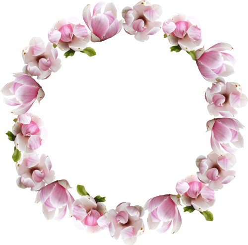Flower Crown - Flower Crown Png (500x494), Png Download