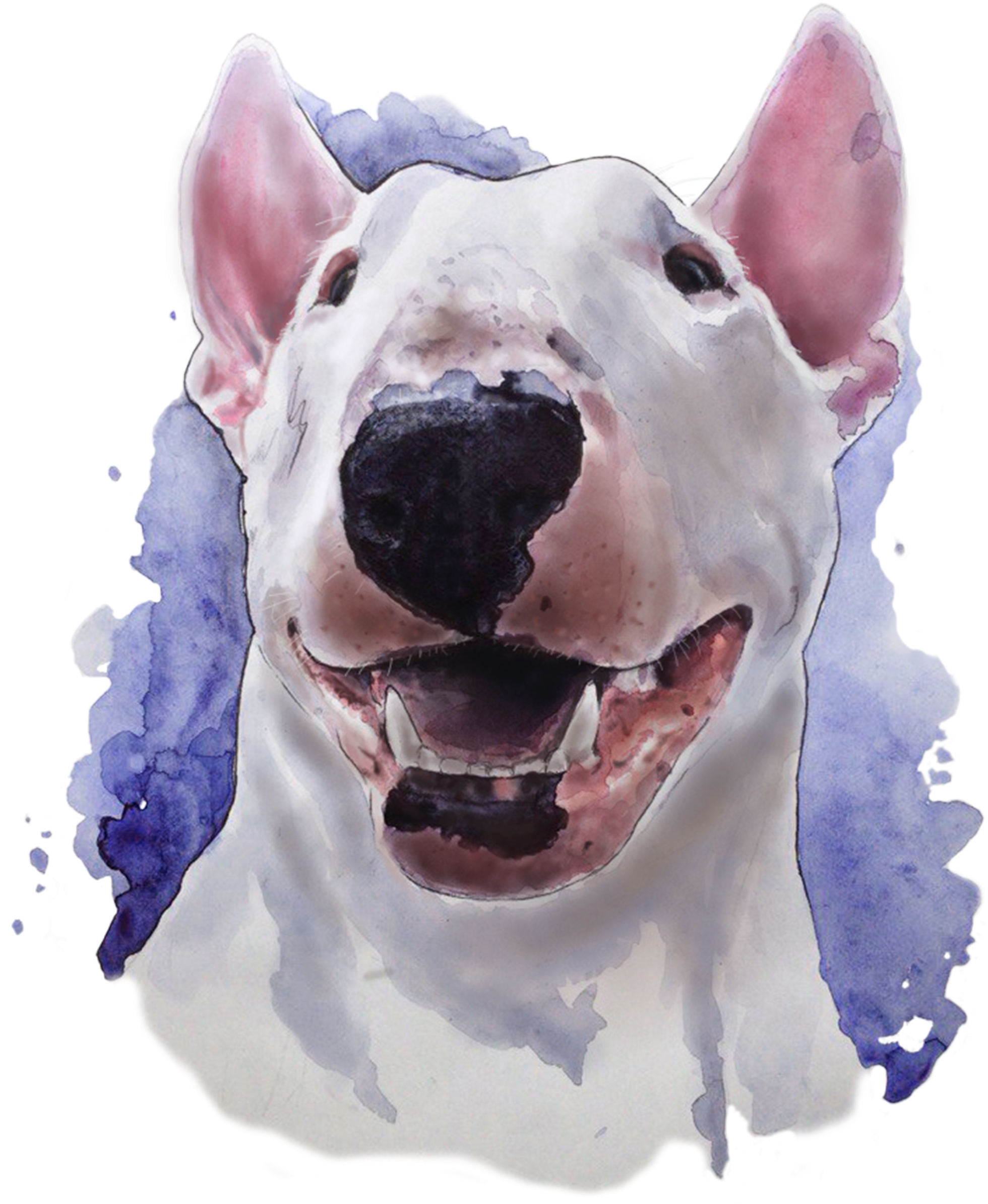 Bull Terrier, Watercolor - Bull Terrier Watercolor (2000x2425), Png Download