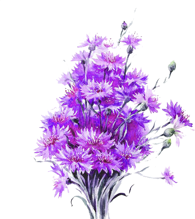 Watercolour Flowers Watercolor Painting Watercolor - Flowers In Watercolour (658x716), Png Download