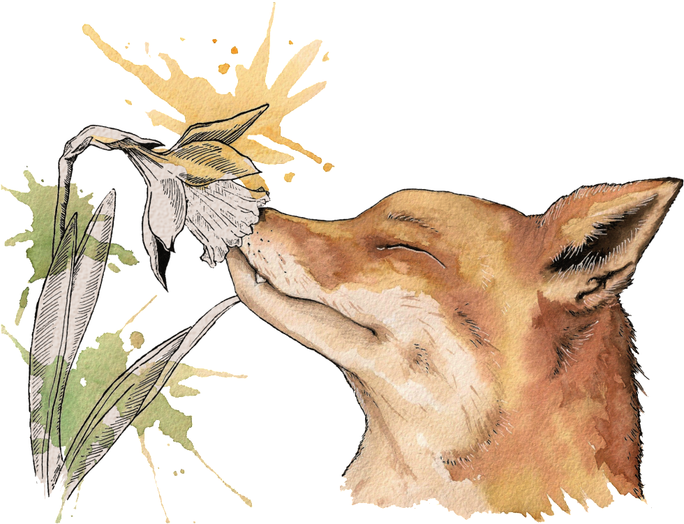 Watercolor Painting (1024x1024), Png Download