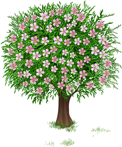 Весна Дерево Прозрачный Png Изображения Clipart - Spring Tree Clipart (513x600), Png Download