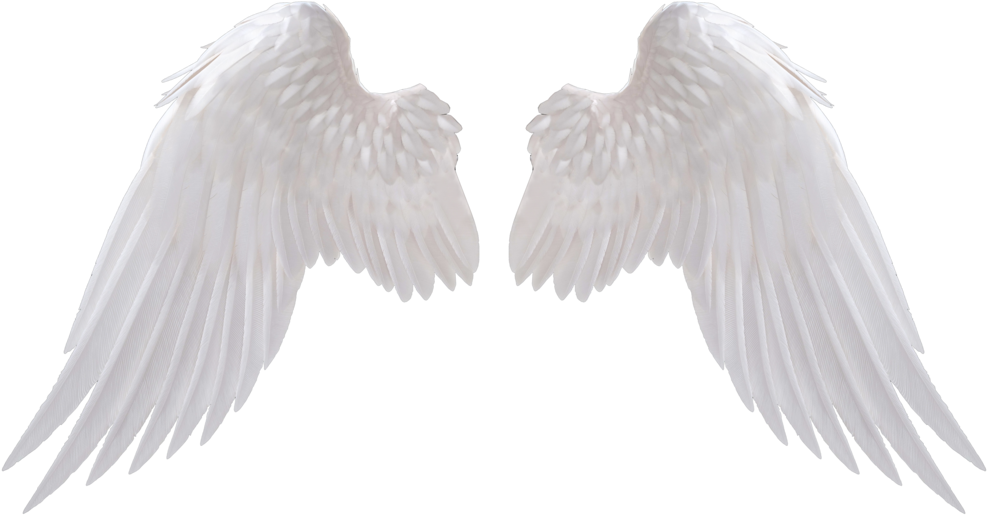 White Wings Png Image - Angel Wings Png (1024x563), Png Download