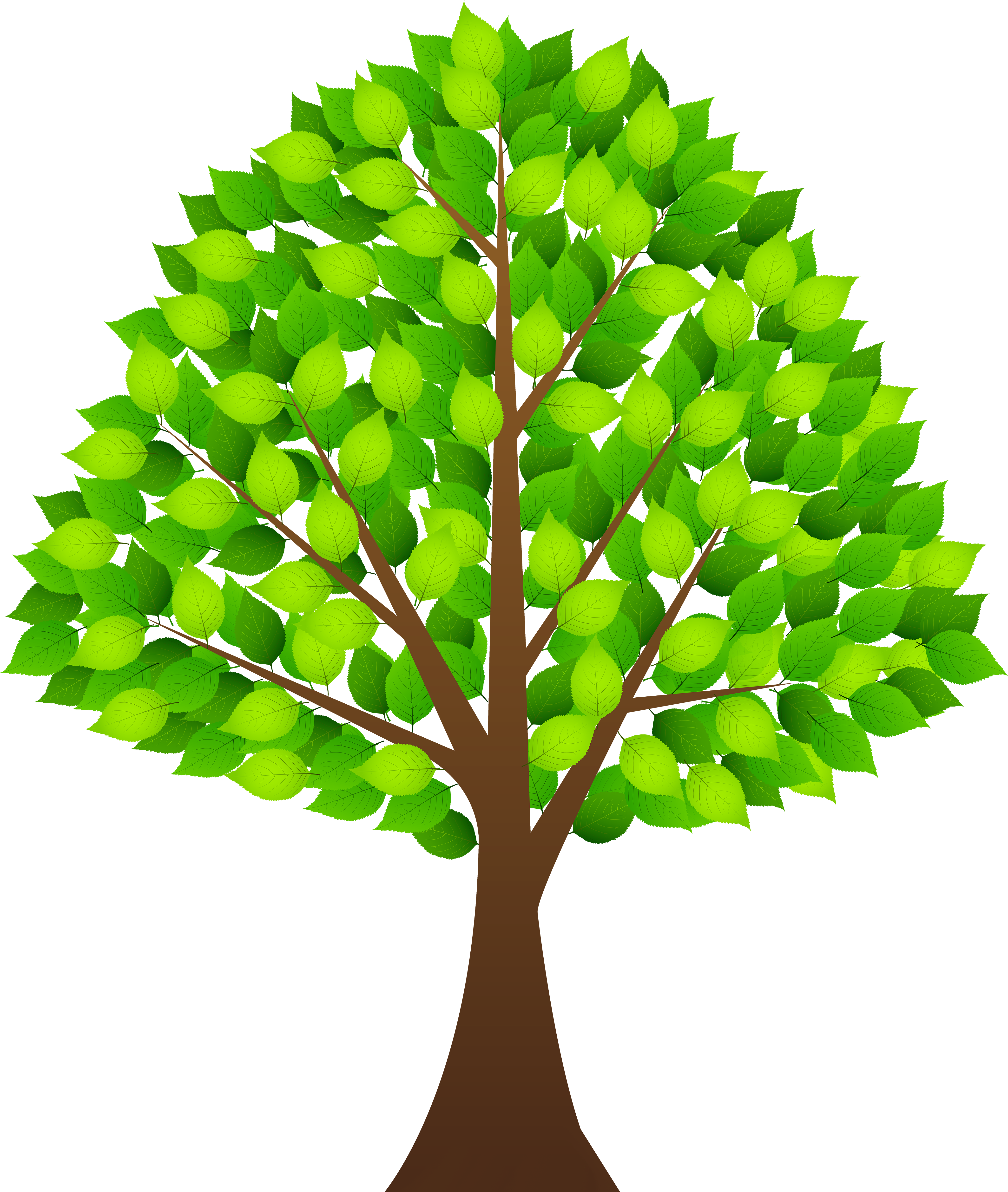 28 Collection Of Plant Leaf Clipart Png High Quality - Tree Clipart Transparent Background (4303x5000), Png Download