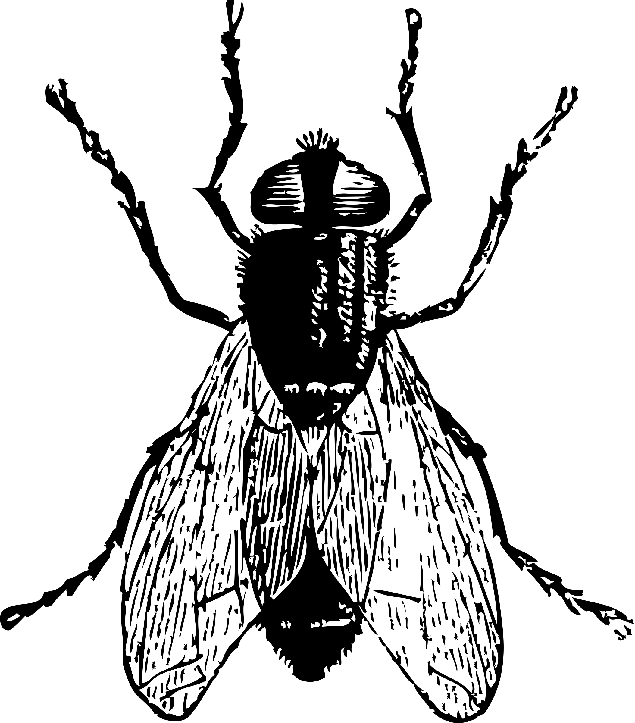 Fly Banner Stock - Fly Clip Art (2108x2400), Png Download