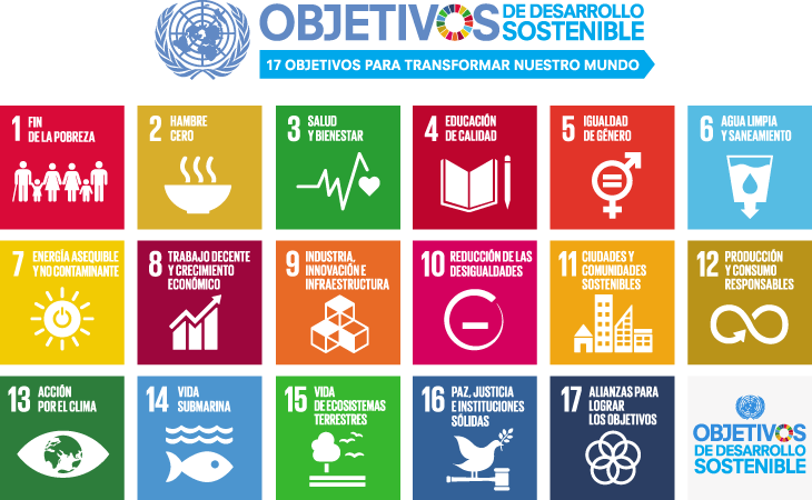 De Las Ciudades Cómo Vamos, Un Tema Clave Que Es Necesario - Sustainable Development Goals 日本 語 (730x450), Png Download