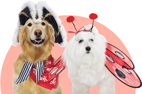 Furry Friend Costumes - Furry Fandom (550x335), Png Download