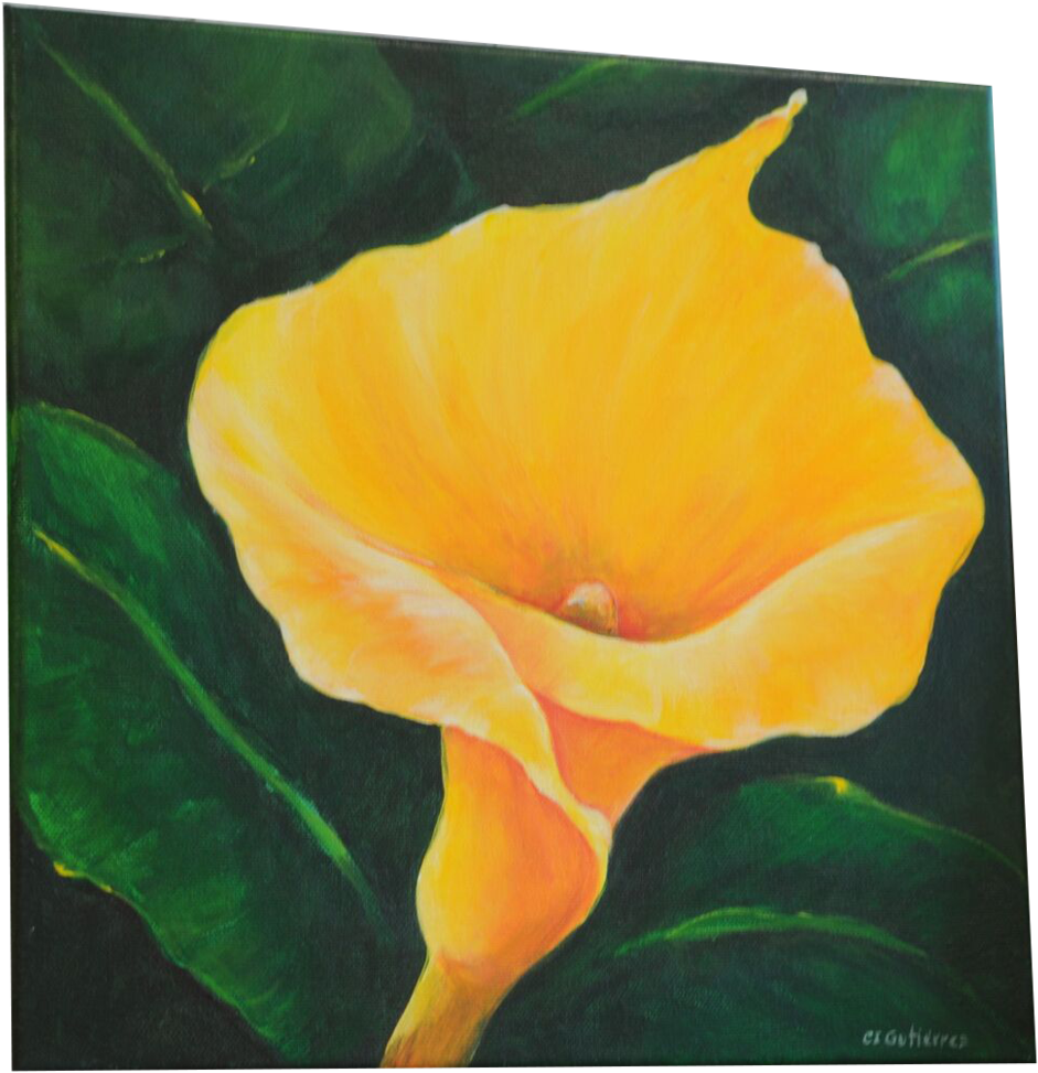 Acrylic On Canvas - Eschscholzia Californica (1024x1024), Png Download