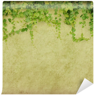 Green Ivy On Old Grunge Antique Paper Texture Wall - Green Ivy Leaves Climbing On Old Grunge (400x400), Png Download