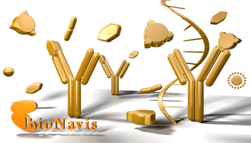 Mp-spr For Antibody Characterization - Antigen And Antibody Png (500x285), Png Download