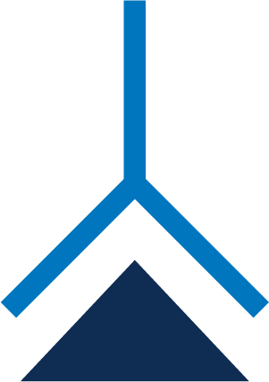 Primary Antibody - Primary And Secondary Antibodies (301x427), Png Download