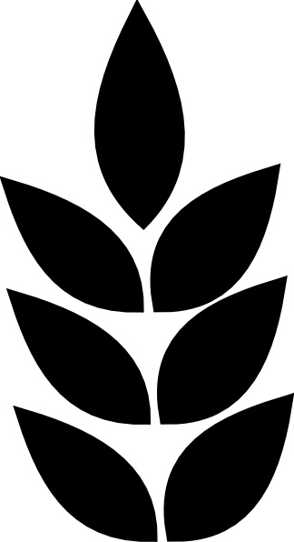 Wheat - Wheat Head Clip Art (324x596), Png Download