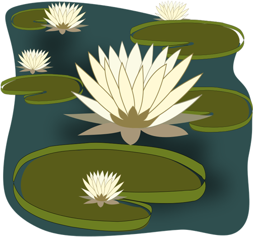 Water Lily Png Clip Art Image - Clipart Of Water Lily (500x500), Png Download