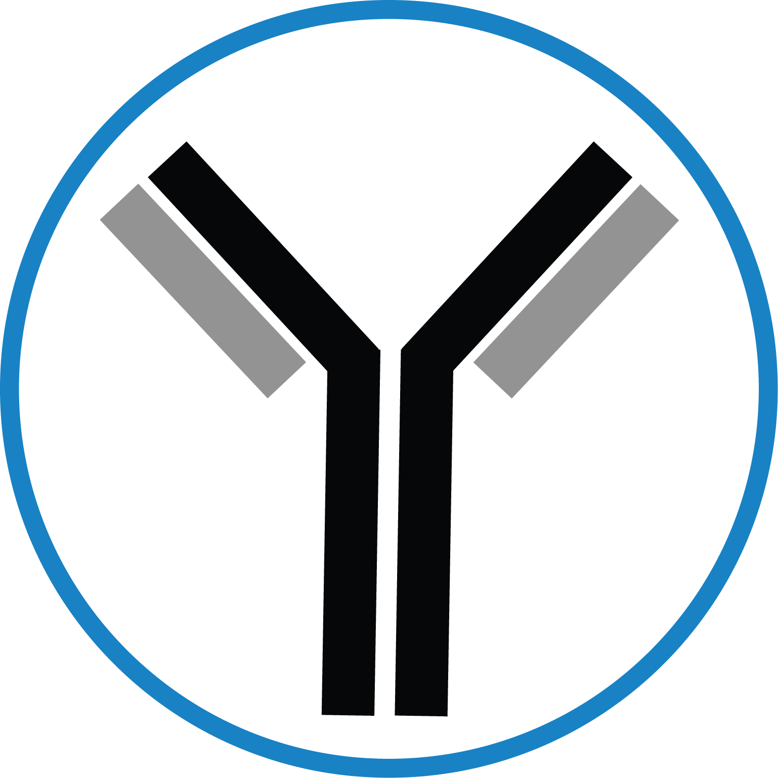 Antibody (1538x1538), Png Download