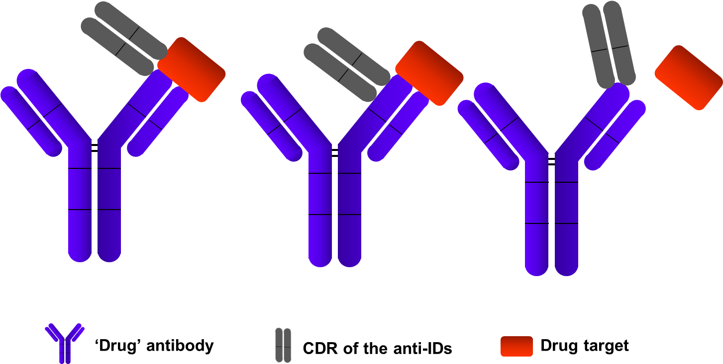 Elisa Assays Development - Anti Drug Antibody (1453x740), Png Download