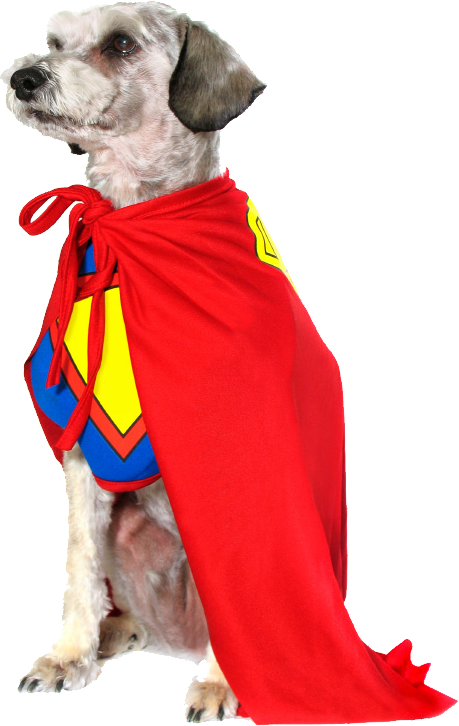 Diy Superhero Mask To Make With Templates - Dog With A Cape Png (459x726), Png Download