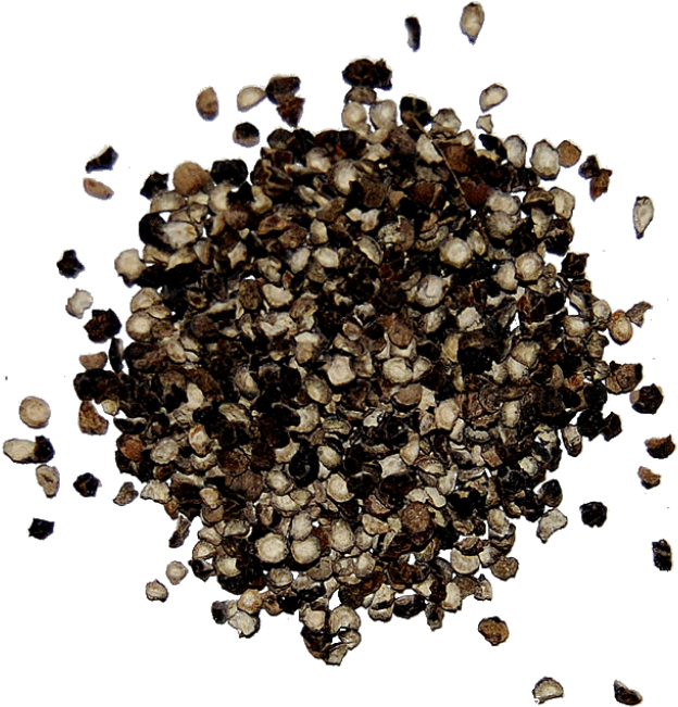 Black Pepper Png Photo - Black Pepper Png (1024x1024), Png Download