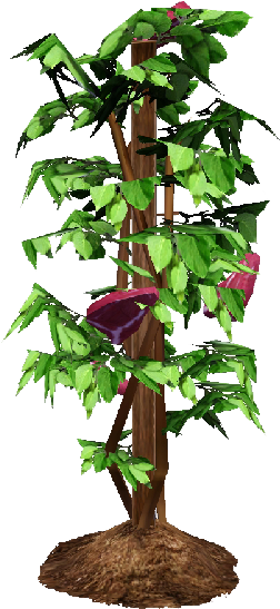 Tomato Plant, Watermelon Vine - The Sims 3 (800x600), Png Download