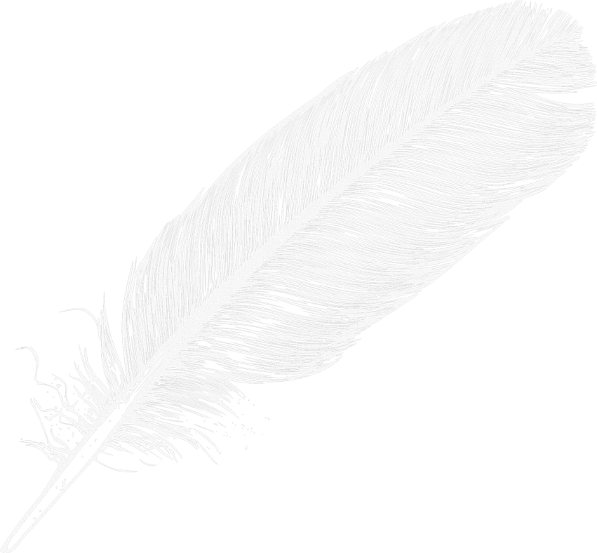 Free Png Feather Png Images Transparent - Literary Criticism By Charles E. Bressler (851x788), Png Download