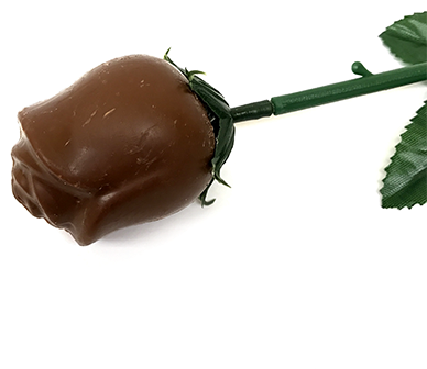 White Foiled Belgian Chocolate Color Splash Roses For - Chocolate Rose Png (500x500), Png Download