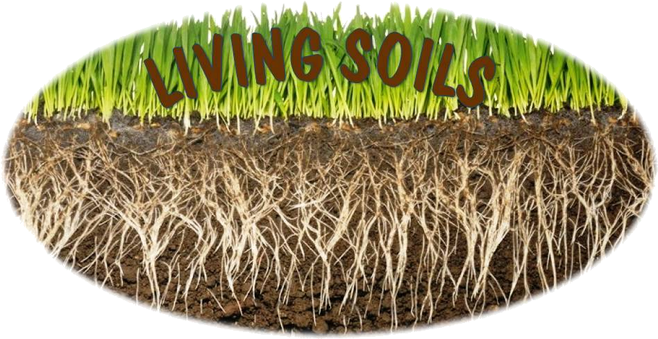 Fertilizer Land (960x720), Png Download