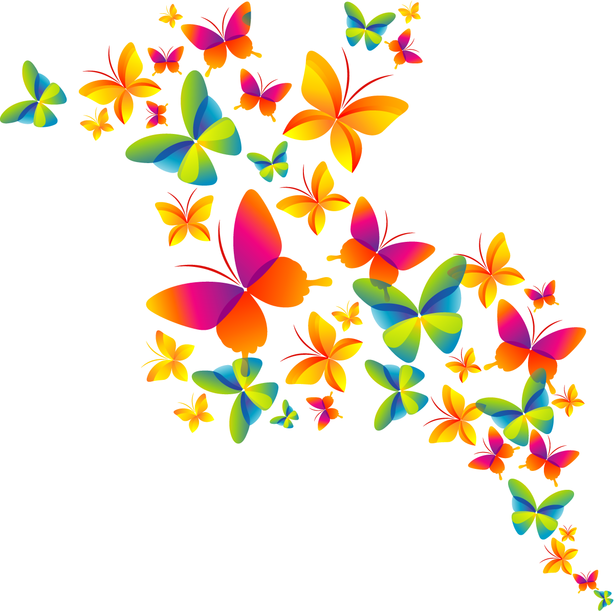 Butterfly Color Cmyk Holi Model Happy Clipart - Holi Png (1200x1195), Png Download