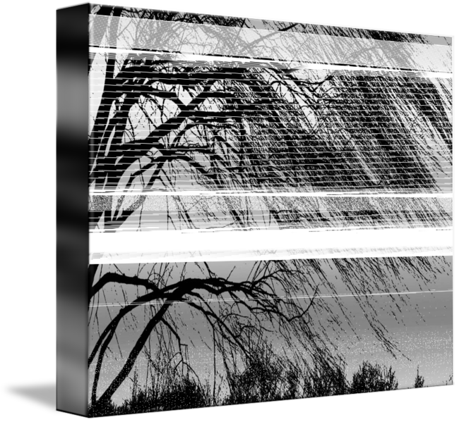 Black And White Willow Tree - Monochrome (650x599), Png Download