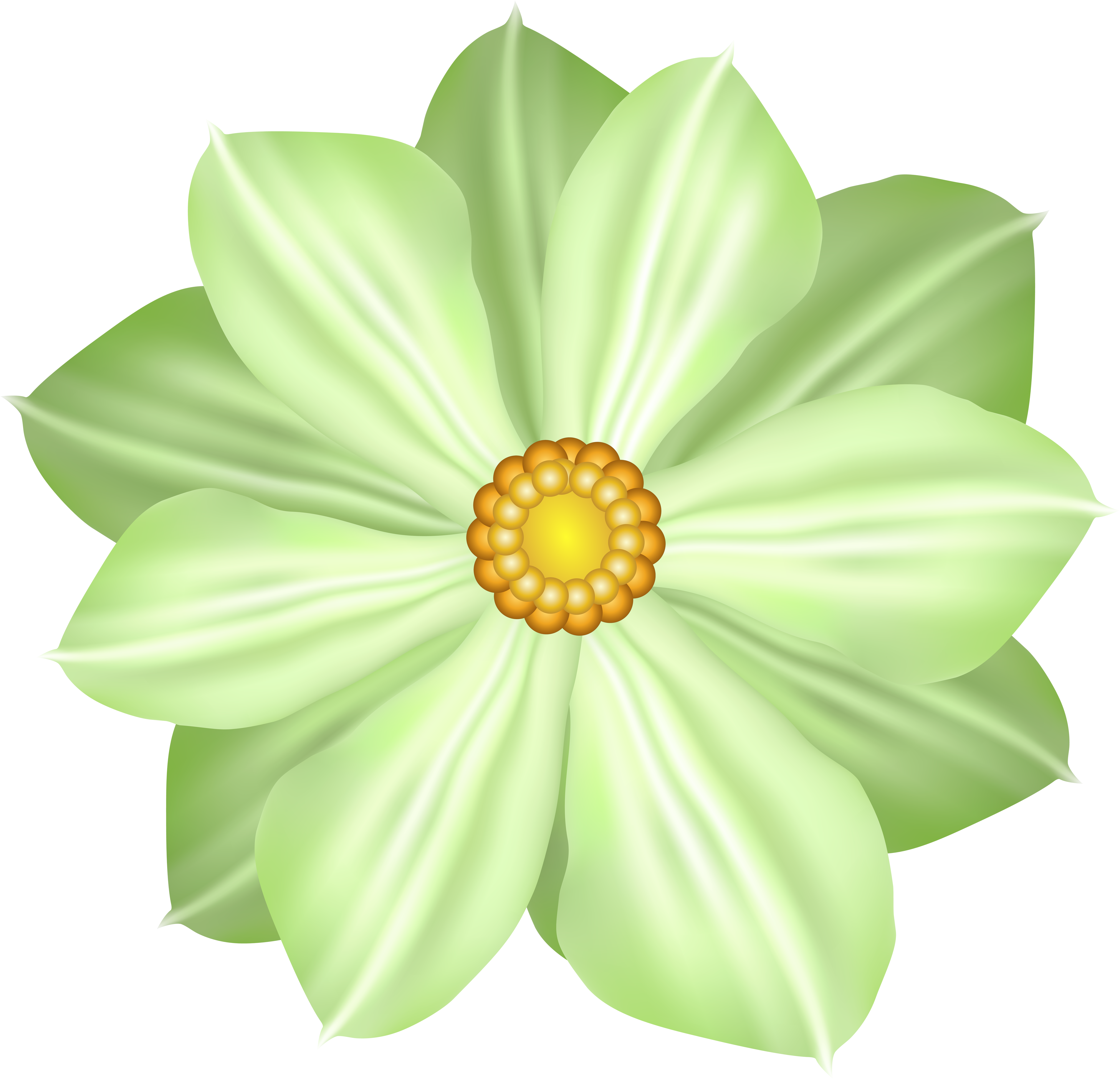 Green Flower Decoration Clipart Image - African Daisy (5000x4816), Png Download
