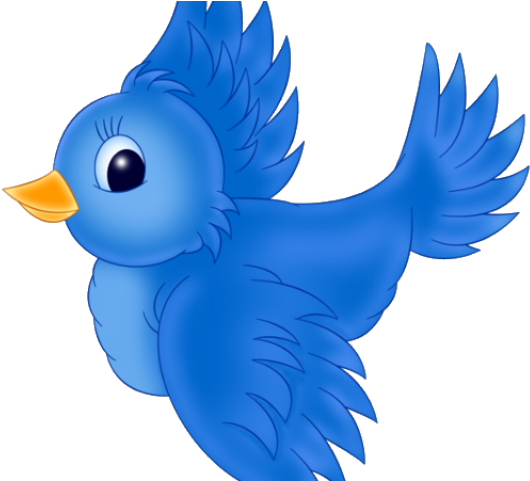 Songbird Clipart Pajaros - Blue Bird What Do You See (640x480), Png Download