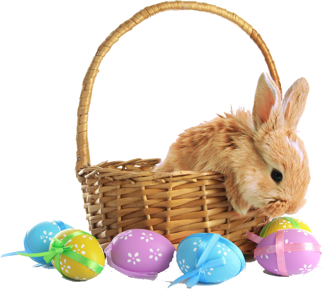 Rabbit In Easter Basket (1600x1399), Png Download