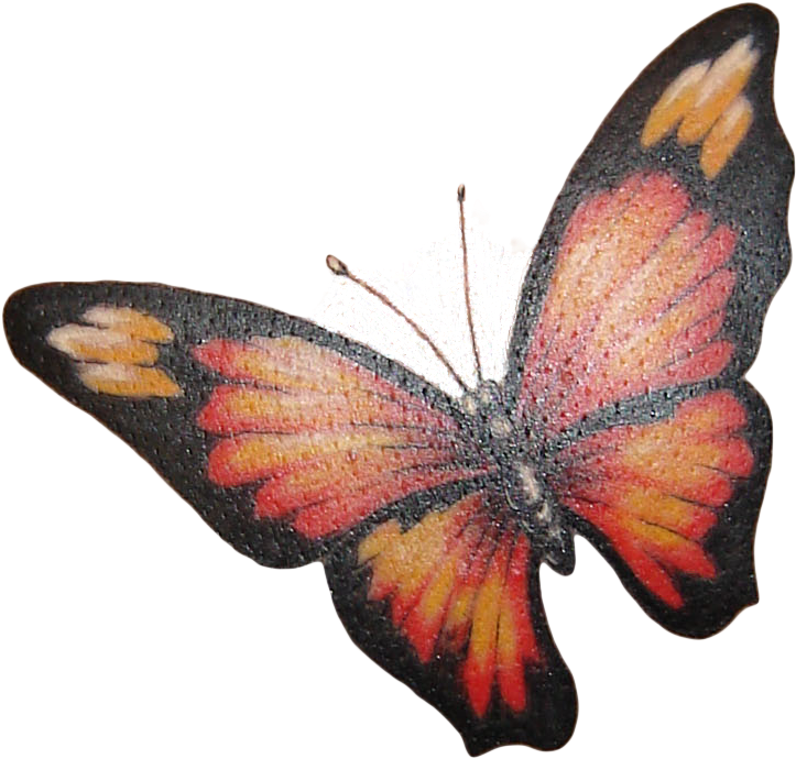 Butterfly Tattoo Png Image - Bold Butterfly Tattoo For Girls (1092x1508), Png Download