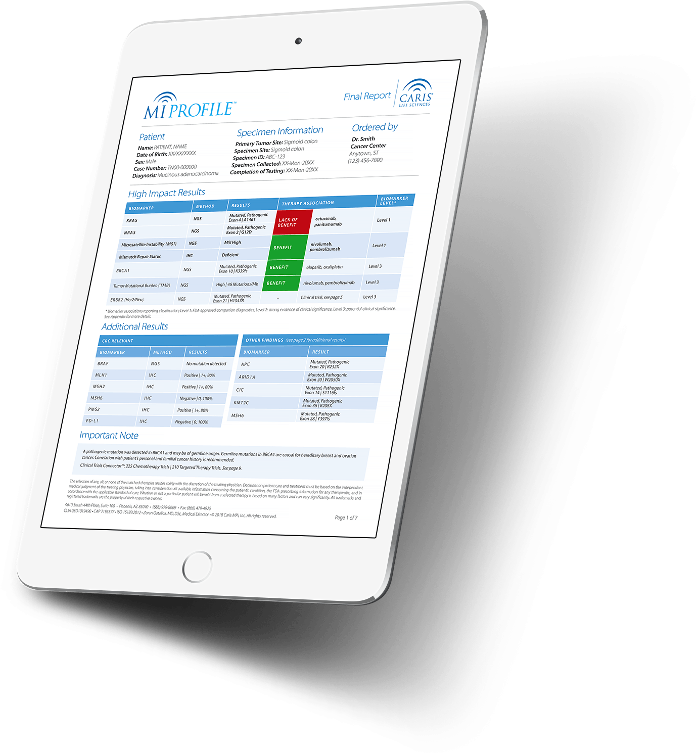 Iphone (1395x1507), Png Download