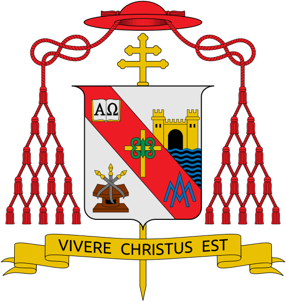 Well, I Am Here To Tell You That As Much As I Want - Cardenal Andrea Cordero Lanza Di Montezemolo (567x599), Png Download