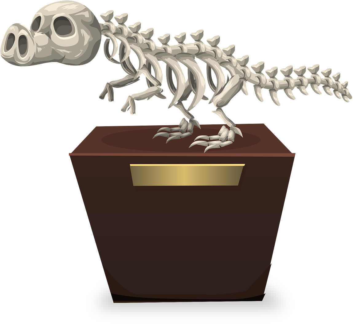 Dinosaur Skeleton Paleontology - ซากดึกดำบรรพ์ การ์ตูน Png (1202x1280), Png Download