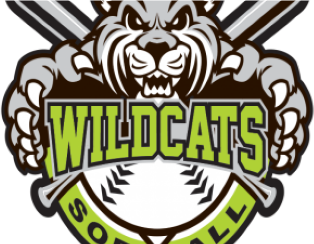 Wildcat Clipart Softball - Arizona Wildcats Softball (640x480), Png Download
